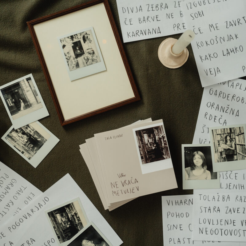 zala_ilovar_veter_ne_vraca_metuljev-4 zala_ilovar_veter_ne_vraca_metuljev-4